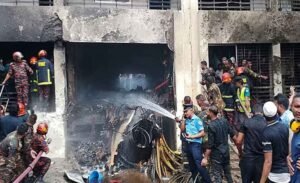 Commission formed to investigate Milestone jet crash