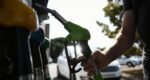 OPEC+ likely to hike oil output again as market focus shifts to share over price