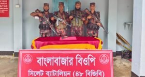 BGB seizes firearm, ammunition in Sunamganj border