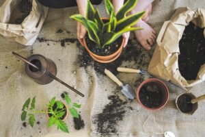 Rediscovering simplicity in a rushed world