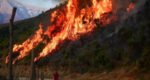 Wildfires rage across southern Europe as temperatures top 40C