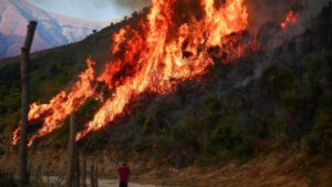 Wildfires rage across southern Europe as temperatures top 40C