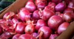Import halt, supply shortages surge onion prices