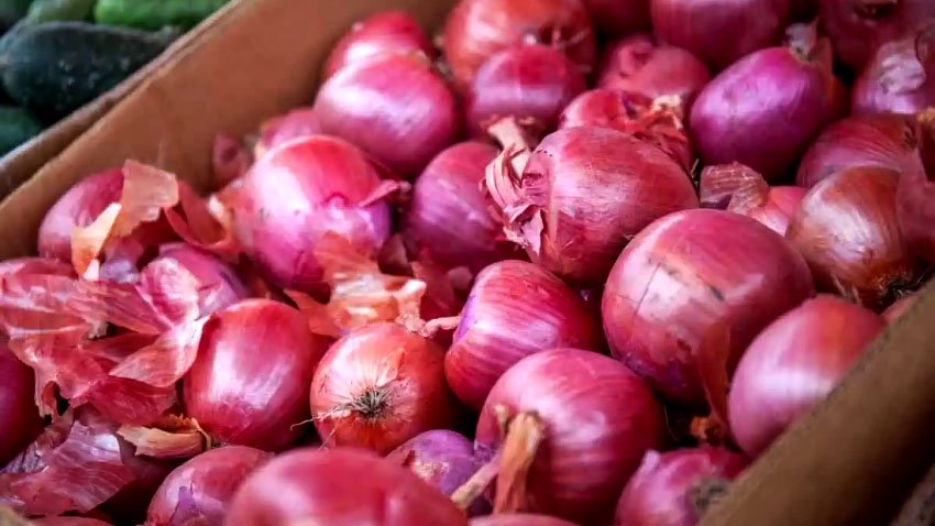 Import halt, supply shortages surge onion prices