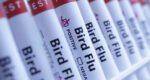4 children diagnosed with bird flu in Bangladesh in first 8 months of 2025