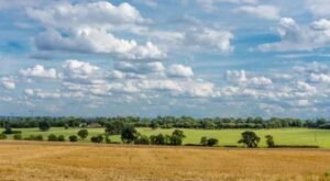 Enfield and Greenwich shortlisted for new towns