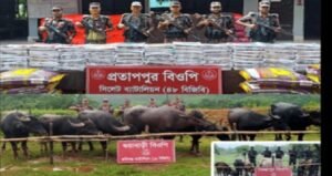 Smuggled Indian goods worth Tk 18 lakh seized at Sylhet Border
