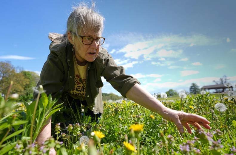 Foraging revival: How wild food enthusiasts are reconnecting with nature