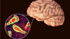 Surge in deadly ‘brain-eating’ amoeba cases causes alarm in India’s Kerala state