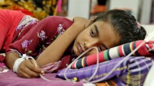 Dengue claims 3 lives, 735 hospitalized
