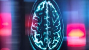 Scientists pinpoint the brain’s internal mileage clock