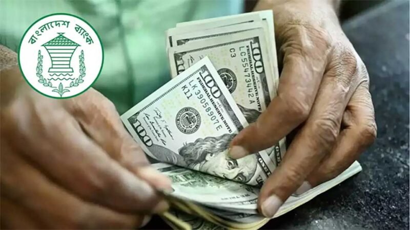 Remittance inflow grows by 9.6 percent till October 15