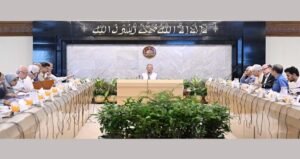 Council of Advisers approves drafts of six ordinances, 2 proposals