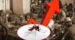 Bangladesh records highest single-day dengue cases this year; 9 more die