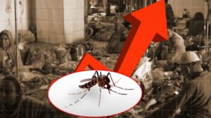 Bangladesh records highest single-day dengue cases this year; 9 more die