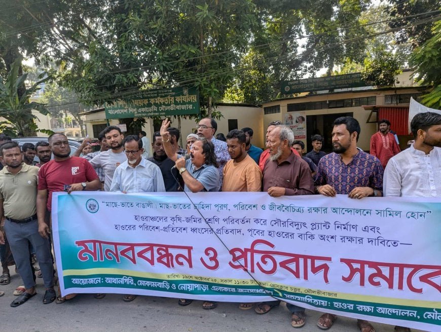 Farmers’ Fury Flares in Moulvibazar to Save Haor from Solar Project