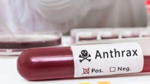 From livestock to humans: why Anthrax remains a global concern