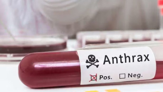 From livestock to humans: why Anthrax remains a global concern