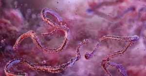 Ethiopia confirms first outbreak of Marburg virus