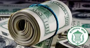 Remittance hits $584M in first 5 days of Nov