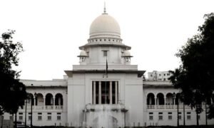 Verdict on caretaker government appeal on Nov 20