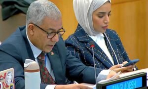 UNGA adopts resolution for safe, voluntary return of Rohingyas