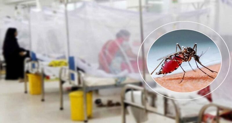 October emerges as deadliest month for dengue