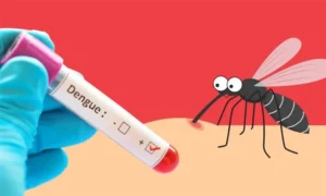 200 more dengue patients hospitalized in 24 hours