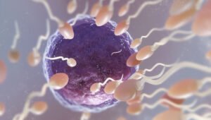 200 children conceived from sperm donor with increased cancer risk
