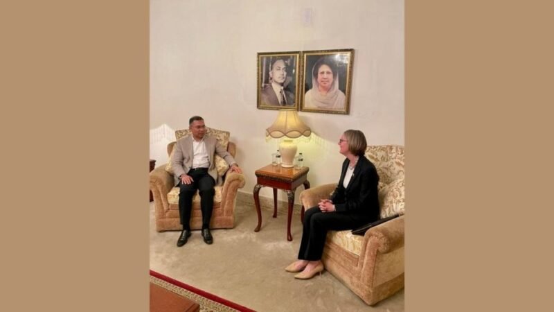 British high commissioner meets Tarique Rahman