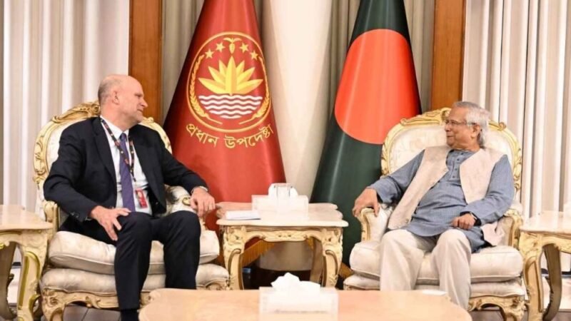 Rohingya repatriation only viable solution to crisis: Chief Adviser