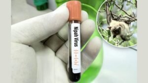 India says two Nipah virus cases, but situation contained