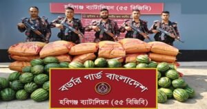 Smuggled cumin worth Tk 16 lakh seized in Habiganj
