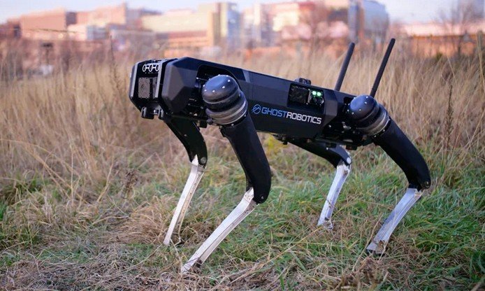 Robot dogs to help Mexican police at 2026 World Cup