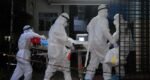 Indian nurse infected with Nipah virus dies