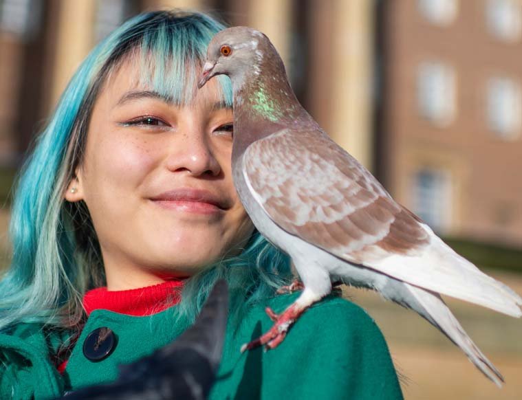 Pooping menaces or ‘flying puppies’? How pigeons are dividing a UK city