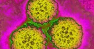 ‘Prevent cancer before it starts’: new WHO study maps risks