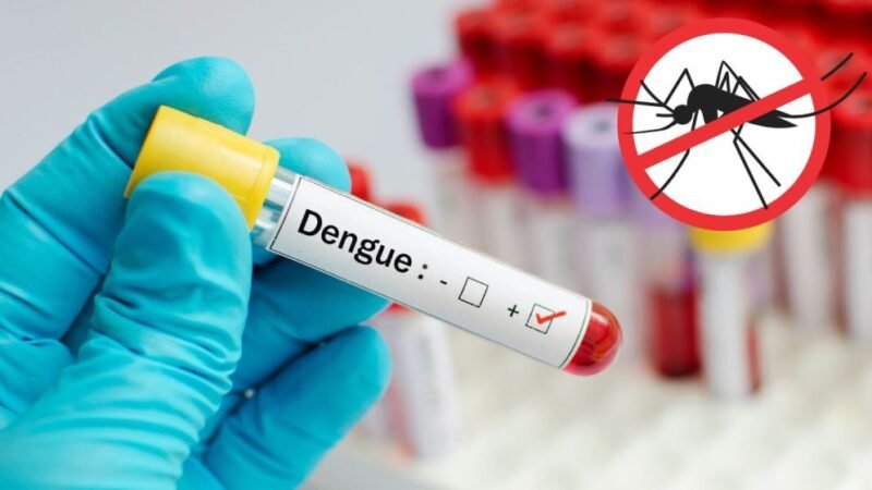 India moves closer to dengue vaccine as final trials underway