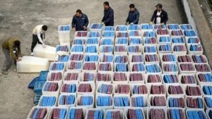 Nepal launches campaigns for first post-uprising polls