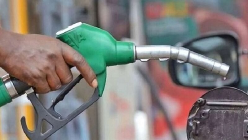 Fuel stock and supply completely normal: Govt