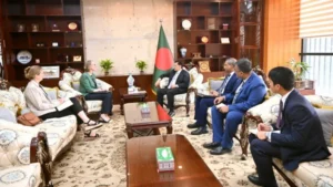 British high commissioner pays courtesy call on foreign minister