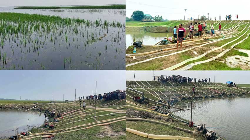 Floodwaters submerge Boro fields in Sunamganj, farmers fear massive losses