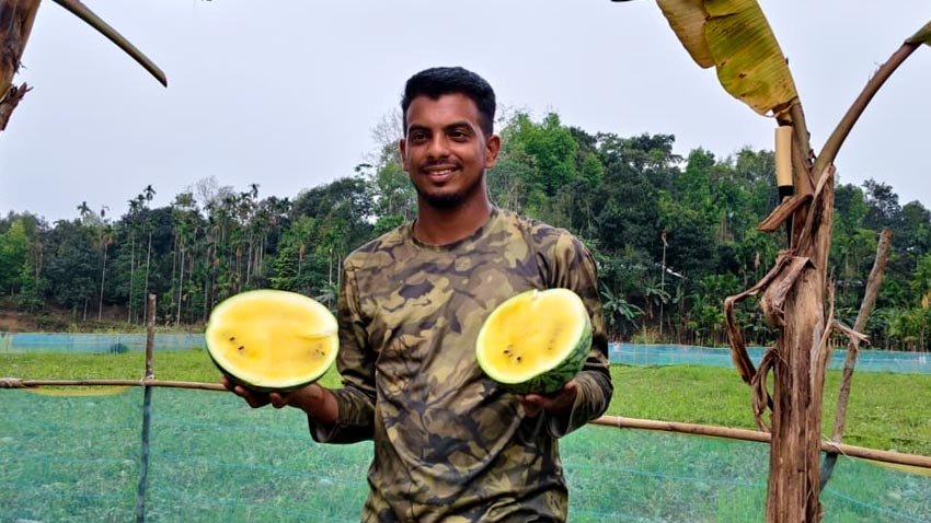 Moulvibazar youth succeeds in yellow watermelon farming