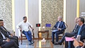 EU delegation calls on PM