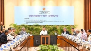 PM Tarique Rahman chairs NEC meeting