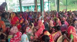 Indefinite strike begins at 4 Habiganj tea gardens over wage arrears