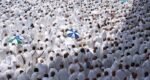 26 May Hajj: 73,182 Bangladeshi pilgrims reach Saudi Arabia