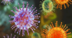 How worried should we be about hantavirus?