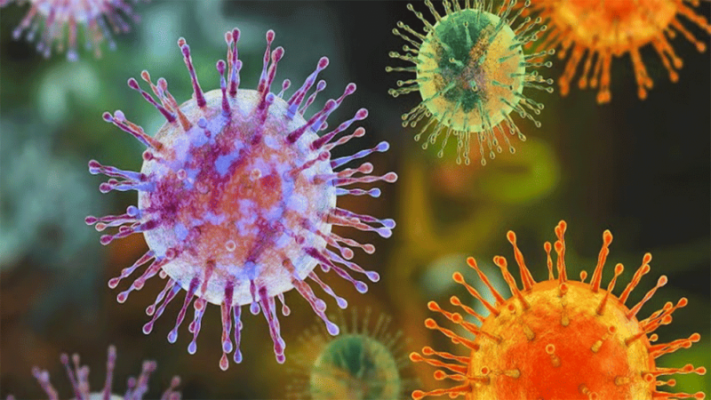 How worried should we be about hantavirus?