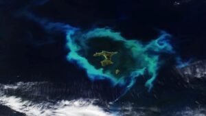 Giant ring of glowing plankton outlines deadly underwater structure